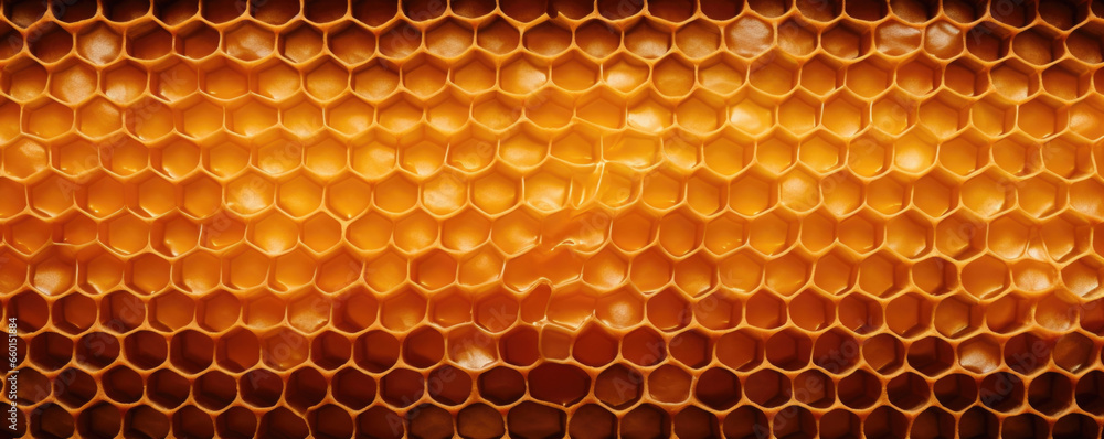 Poster texture of a honeycomb in a beehive, featuring a symmetrical and repetitive pattern of cells with a 