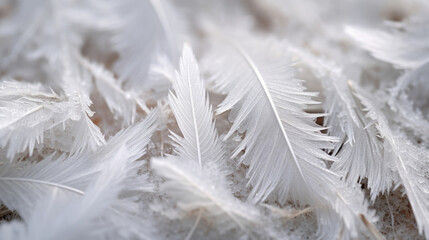Intricate, feathery crystals delicately dusting a layer of icy, compacted snow.