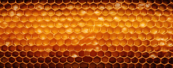 Texture of a honeycomb in a beehive, featuring a symmetrical and repetitive pattern of cells with a rich honeycolored hue.