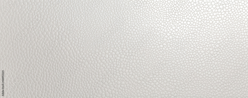 Poster closeup of dotted silver this matte silver texture is adorned with tiny raised dots that add a playf