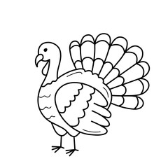 Turkey. Hand drawn sketch icon of domestic bird. Isolated vector illustration in doodle line style.