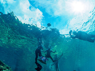 ヒリゾ浜の水面を漂う美しいハリセンボン（ハリセンボン科）。

静岡県伊豆半島賀茂郡南伊豆町中木から渡し船で渡るヒリゾ浜にて。
2023年9月30日水中撮影。

The Beautiful Balloon Porcupinefish drifting on the surface.

HIRIZO Beach, Nakagi, South IZU, Kamo-gun, Izu Peninsula, 