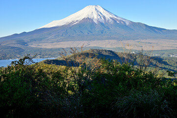 道志山塊の石割山山頂より望む富士山
