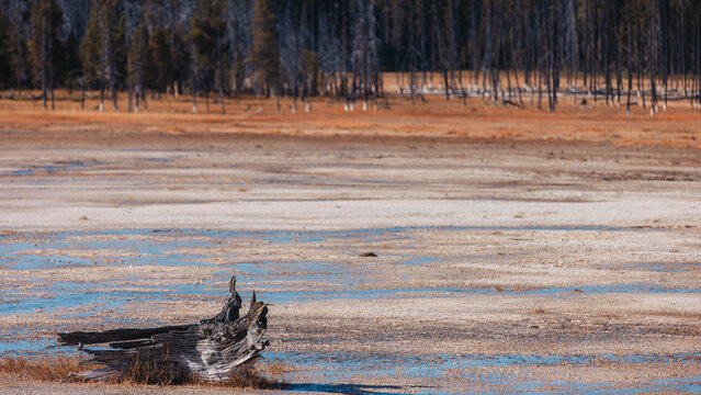 Different layer on ground