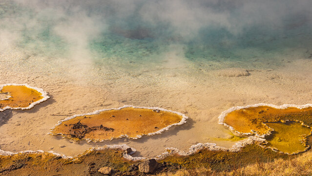 Geyser in Yellowstone National Park