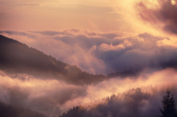 Fototapeta premium Foggy morning landscape