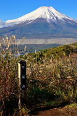 道志山塊の平尾山山頂より望む富士山
 - obrazy, fototapety, plakaty