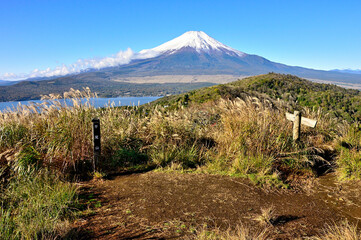 道志山塊の平尾山山頂より望む富士山
 - obrazy, fototapety, plakaty