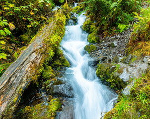 Cascades In The Forest on Wahkeena Creek, Columbia River Gorge, Oregon, USA