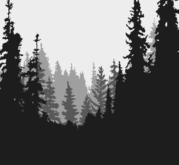 Spruce tree silhouette. Pine tree silhouette