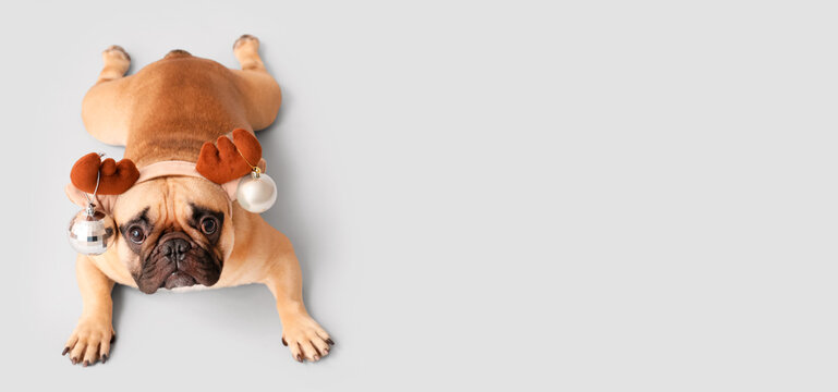 Cute dog with reindeer antlers and Christmas balls on light background with space for text