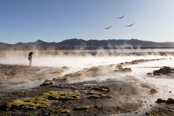 LAGUNA POLQUES, (AGUAS TERMALES NATURALES)  Reserva Nacional de Fauna Andina Eduardo Avaroa en el...