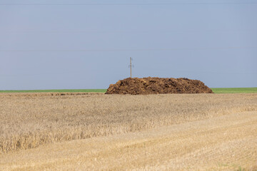 a pile of natural manure for fertilizing the field