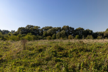 changing the color of the foliage of plants in the autumn season
