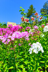 Gärten von Schloss Trauttmansdorff in Meran, Südtirol (Italien)