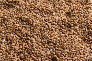 A large amount of harvested buckwheat