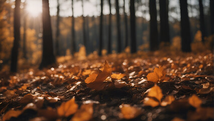 autumn leaves on the ground in the forest. beautiful nature background