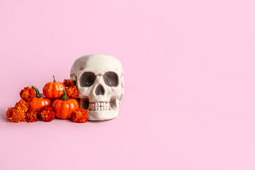 Human skull with marigold flowers and pumpkins on pink background