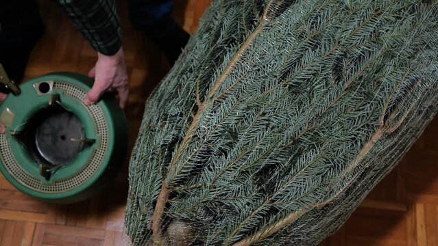 Christmas tree fastener. hands place a tree holder near a packaged Christmas tree on the parquet floor. View from above. Floor holder for holiday tree. 4k footage