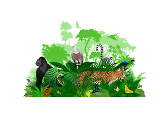 Vector Africa tropical jungle rainforest illustration with animals.	