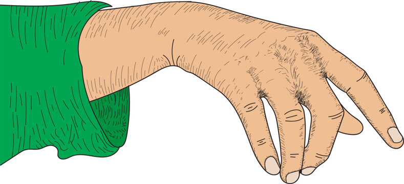 Palm down Hand Illustration Drawing, engraving, ink, line art, vector, hand Drawing sketch