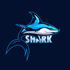 shark vector logo with lettering  in a dark blue background