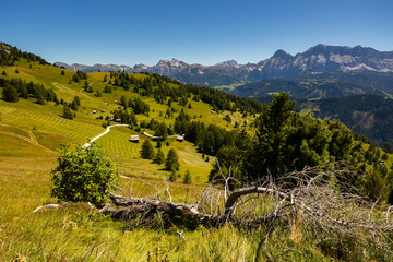 Spectacular view of lush green alpine meadows and forests on slopes of Dolomite mountains with...