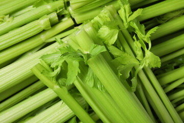 Many fresh green celery bunches as background, top view
