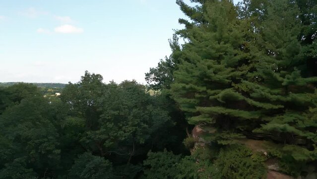 Aerial drone shot of Starved Rock State Park, wild forest