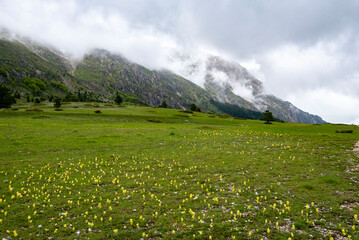 Monti Sibillini National Park - Italy