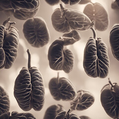 Vintage background with human lungs in monochrome tone. medical concept