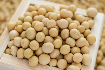 Dried Soybeans in a Wooden Box