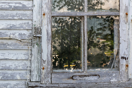 A vintage decrepit glass window with trees reflecting in the panes. The exterior wall of the old house is rotting wood clapboard. The white paint is faded and peeling from the boards.  - Powered by Adobe