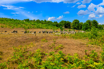 Fototapeta na wymiar Abandoned Jewish cemetery in the village of Vadul-Rashkov Moldova. Background with selective focus