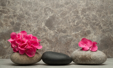 Fototapeta na wymiar stones and flowers for product presentation. minimalistic spa still life for podium background