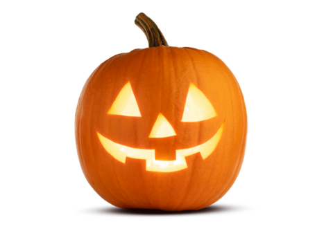 halloween pumpkin row isolated on white