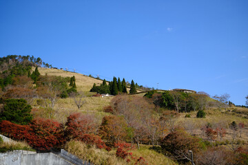 Fototapeta na wymiar 山の上の神話の里公園の景色