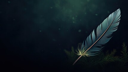 a feather on a black background