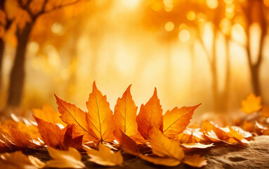 Naklejka na ściany i meble Autumn is full of vitality