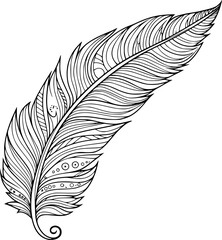 Outline Feather for coloring page 