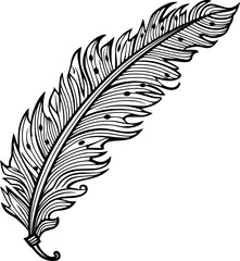 Outline Feather for coloring page 