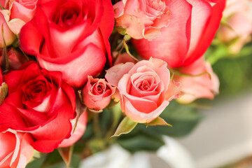 red rose and flowers bloom against a soft, blurred nature backdrop, showcasing the beauty of love and passion in a serene garden setting