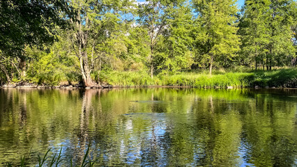 Little Wolf River in Symco Wisconsin on a Summer Day