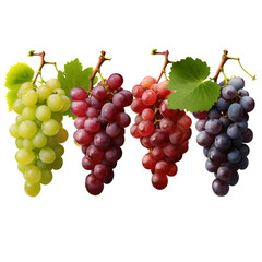Fototapeta premium Wine grapes, table grapes. Fresh fruit. Miscellaneous, 32k resolution, best quality, clip art isolated on transparent background