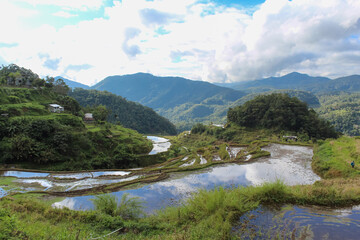 Fototapeta na wymiar Rice terraces in Philippines. Rice paddies valley of Batad, Philippines