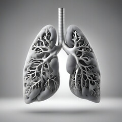 Lungs anatomy in gray background. 3d render illustration.