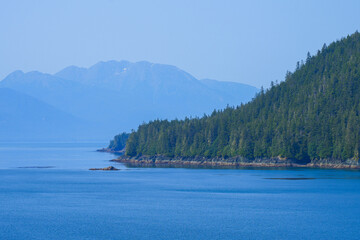 Obraz premium Arctic forest along the shore of Tracy Arm Fjord near Juneau in southeastern Alaska, USA