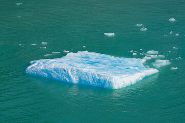 Floating iceberg drifting away from South Sawyer Glacier at the end of Tracy Arm Fjord in southeast...