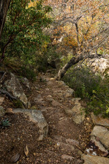 Rocky Path Down The Juniper Canyon Trail In Big Bend
