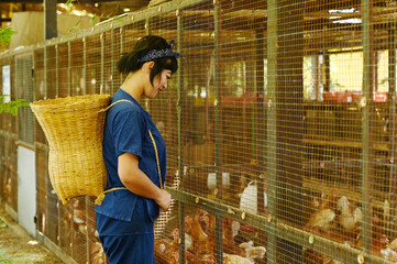 Pretty Asian woman Poses hanging from a bamboo basket Behind the chicken coop in the chicken farm.